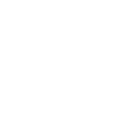 YLF Logo